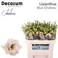 Лизиантус G-Lisianthus G-Blue Chateau-60cm 70eb6a46-c531-11ec-0a80-007e0005c835