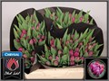 Тюльпан-Tulip-Du Margarita-36cm-34gr 71597a22-d0db-11ee-0a80-1611000ccbe1