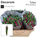 Тюльпан-Tulip-En Pink Ardour-38cm-35gr 715da704-d0db-11ee-0a80-1611000ccbe4