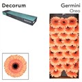 Гербера-Gerbera-Oreo-50cm 7166b9cb-a1cf-11ef-0a80-1074002aa296