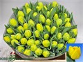 Тюльпан-Tulip-Du Double Trouble-40cm-35gr 71876ef2-d0db-11ee-0a80-1611000ccbf3