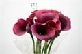 Калла-Zantedechia-Capt Promise-60cm 718dad38-bfa4-11ec-0a80-0b4c0006f5c6