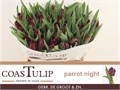 Тюльпан-Tulip-Pa Parrot Night-40cm-40gr 719875d6-d0db-11ee-0a80-1611000ccbf6