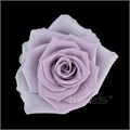 Роза-Rosa-Shocking Blue-60cm-FS 71f492a7-0d0a-11ef-0a80-13bc0006e755