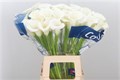 Калла-Zantedechia-Ivory Art--50cm 722cb4af-bfa4-11ec-0a80-0b4c0006f6c7