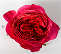 Роза-Rosa-Dark XPression-60cm-PE 7308479c-bfa9-11ec-0a80-0b4c000bcb41