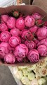 Роза куст. Silva Pink 60cm (Краснодар) 748acb09-d710-11ef-0a80-03bf002b4c9b