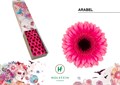 Гербера-Gerbera-Mi Arabel Doos-45cm 7495f975-4831-11f0-0a80-07290027c215