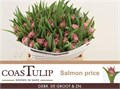 Тюльпан-Tulip-Du Salmon Price-35cm-29gr 74ac1999-b1fd-11ee-0a80-0b92004bb725