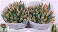 Тюльпан-Tulip-En Delta Storm 74b0141a-b1fd-11ee-0a80-0b92004bb72c