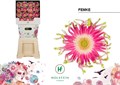 Гербера-Gerbera-Kv Diamond Gerpasta Femke-50cm 0ca2f09f-557b-11ee-0a80-020700364f87