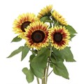 Подсолнух-Helianthus-An Marley-80cm 7504ead4-4831-11f0-0a80-07290027c224