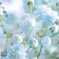 Гипсофила-Gypsophila-Over Time Light Blue-1000gr-EA 759b8c98-bfa3-11ec-0a80-0b4c0005f7af