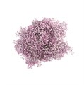 Гипсофила-Gypsophila-Supreme Tinted Lavender-80cm-1000gr-MS 766a2ade-5511-11ed-0a80-03f200219db9