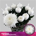 Хризантема одн-Chrysant Gr-Tutu-70cm-105gr 76926e73-fa89-11ee-0a80-0d75003b8756