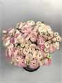 Ранункулус-Ranunculus-Cloni Hanoi 770c2f75-bfa6-11ec-0a80-0b4c0008d119