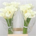 Калла-Zantedechia-White Ideal-60cm 774dfb27-bfa4-11ec-0a80-0b4c0006fb6c