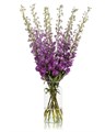 Дельфиниум-Delphinium-Magenta Mojo-120cm-/Bg 7827646c-864c-11f0-0a80-04c200357f9f