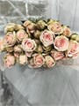 Роза куст-Rosa tr-Comet Star-50 cm 7832b41f-ac5f-11ed-0a80-0573000dad76