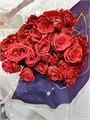 Роза куст-Rosa tr-Coral Storm-50 cm 783ba33e-ac5f-11ed-0a80-0573000dad79