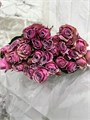 Роза куст-Rosa tr-Pandora-50 cm 78568654-ac5f-11ed-0a80-0573000dad82