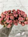 Роза куст-Rosa tr-Vega-50 cm 787ac300-ac5f-11ed-0a80-0573000dad8e
