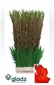 Гладиолус Gr-Gladiolus Gr-Chinon-120cm-180gr 792e02b6-7671-11ee-0a80-07290003b632