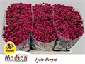 Хризантема сант-Chrysant sant-Mad Tyolo Purp-55cm-950gr 7934dbf6-99c1-11ef-0a80-15fa0037cb19