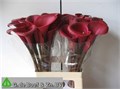 Калла-Zantedechia-Ov-65cm 796b2803-7671-11ee-0a80-07290003b63b