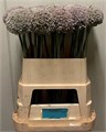 Аллиум-Allium-Kenton-85cm 7a805704-0bea-11ed-0a80-0f1500429170