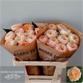 Роза-Rosa-Gr Sweet Harper!-60cm 7a94dc6b-2938-11ee-0a80-02ba002ecac8