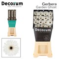 Гербера-Gerbera-Gs Garden Ghost Diamond-45cm 7b1b5223-0bea-11ed-0a80-0f150042918f
