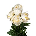 Пион-Paeonia-Bridal Shower-50cm 0d10538f-e734-11ed-0a80-110f001e239a