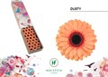 Гербера-Gerbera-Mi Doos Dusty-45cm 7b86ac08-2938-11ee-0a80-02ba002ecae6