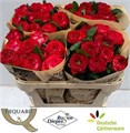 Роза-Rosa-Gr Ov-60cm 7b923d0c-0bea-11ed-0a80-0f15004291b2