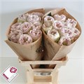 Роза-Rosa-Gr Shades Of Grey-60cm 7bae2173-0bea-11ed-0a80-0f15004291ba