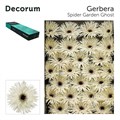 Гербера-Gerbera-Gr Spider Garden Ghost Doos-45cm 7be282b7-1605-11ef-0a80-0f770012f93d