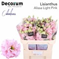 Лизиантус G-Lisianthus G-Alissa Pink-70cm-va 7c6f36b3-9be3-11ed-0a80-0c4c001b9f2d