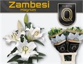 Лилия-Lilium-Ot Zambesi-100cm 7cf6761d-68d3-11f0-0a80-0fb6000162cd