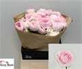 Ранункулус-Ranunculus-Su Favola-40cm-50gr 7edc131e-8c81-11ee-0a80-14300049b322