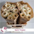 Роза-Rosa-Gr Saint Tropez-60cm 7ef0a8c7-f99b-11ed-0a80-14030000ddda