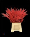 Кониферен-Coniferen-Red-55cm 7fc2f10d-bfa4-11ec-0a80-0b4c00070493