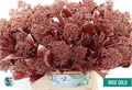 Скиммия-Skimmia-Ov Bs K-45cm 8170c1c5-bfa5-11ec-0a80-0b4c0007f97f