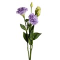 Лизиантус-Lisianthus-Misty Blue-60cm 825c3fab-25e2-11f0-0a80-0c98002b6c91