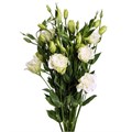 Лизиантус-Lisianthus-White-60cm 82653919-25e2-11f0-0a80-0c98002b6ca6