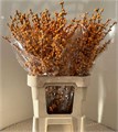 Илекс-IlexVe Gold Verboom-90cm 0d744b2f-4df8-11ed-0a80-0c530062513e