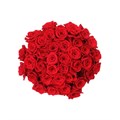 Роза-Rosa-Nina-60cm-IS 83917c5d-bfa9-11ec-0a80-0b4c000be80a