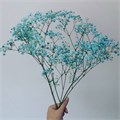 Гипсофила-Gypsophila-Xlence Light Blue-1000gr-EA 84055a22-a226-11ed-0a80-00b50010d08c