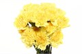 Гвоздика ст-Dianthus st-Hermes-65cm 0d89cadd-bfa4-11ec-0a80-0b4c00069532