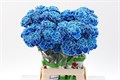 Гвоздика ст-Dianthus st-Blue Monday-65cm 0dd9fdcd-7850-11ed-0a80-073a0025de44